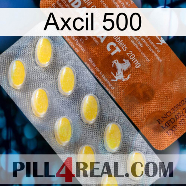 Axcil 500 42.jpg